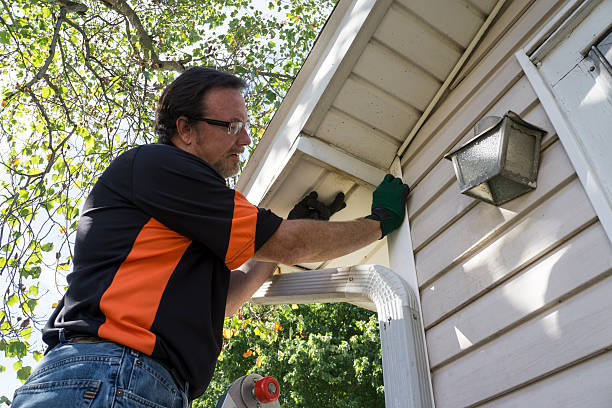 Shed Removal in Lamar, CO